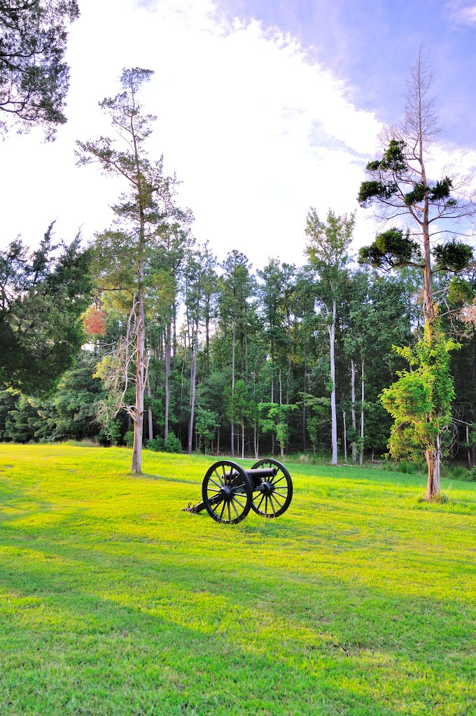 VIRGINIA: PETERSBURG: PETERSBURG NATIONAL BATTLEFIELD EASTERN FRONT: loose cannon by Douglas W. Reynolds, Jr.