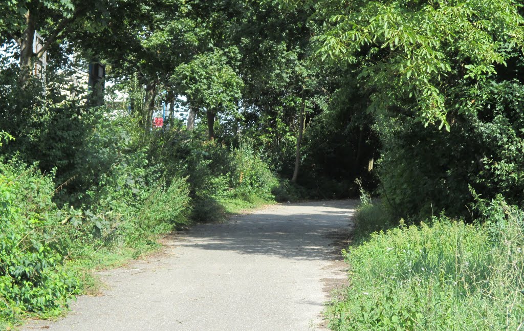 Südpfalz Radweg by HaraldSogl