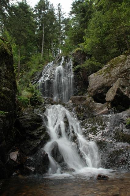 Cascade de Tendon by Judd