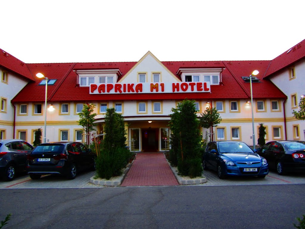 hotelul cu cei mai multi romani by teodor cardei 1