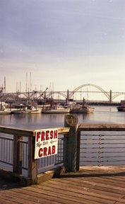 Yaquina Bay Bridge & Newport Harbor by Eric Augustus