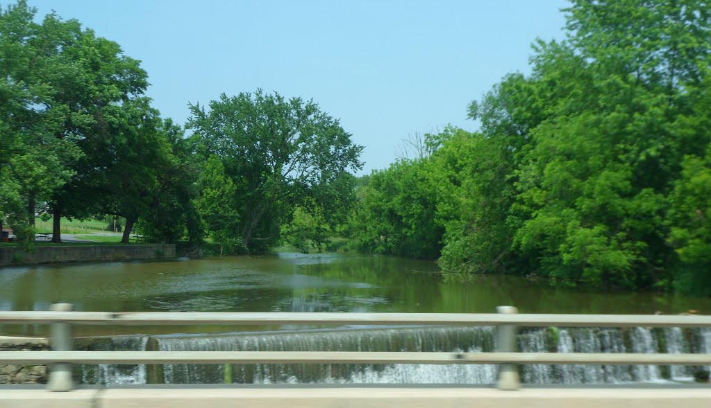 BİRD OF PARADİSE CREEK - KUŞ CENNETİ DERESİ by adana-8