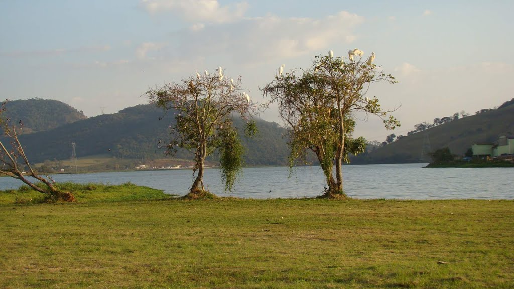 NINHAL ÀS MARGENS DO LAGO DE CAPITÓLIO by Ronan G. Silva