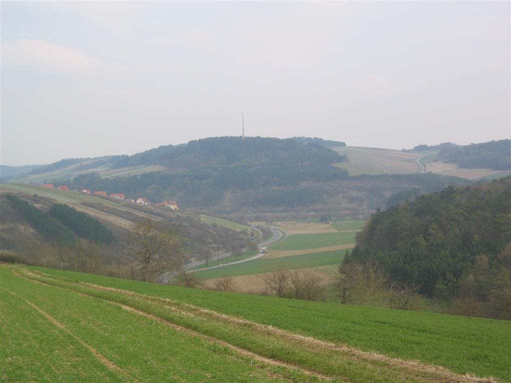 Zwischen B27 (Nähe Königheim / Weikerstetten) und NSG Adell by Lama Lebo