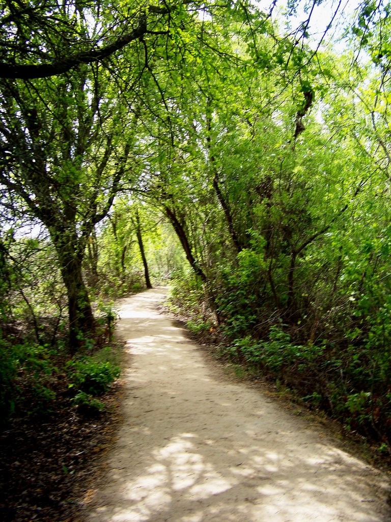 Consumes River Trail by kylebaumann