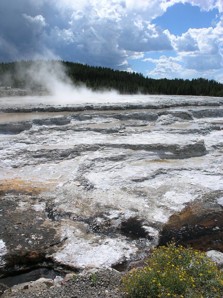 Mammoth, Yellowstone, USA. by Darren Roberts