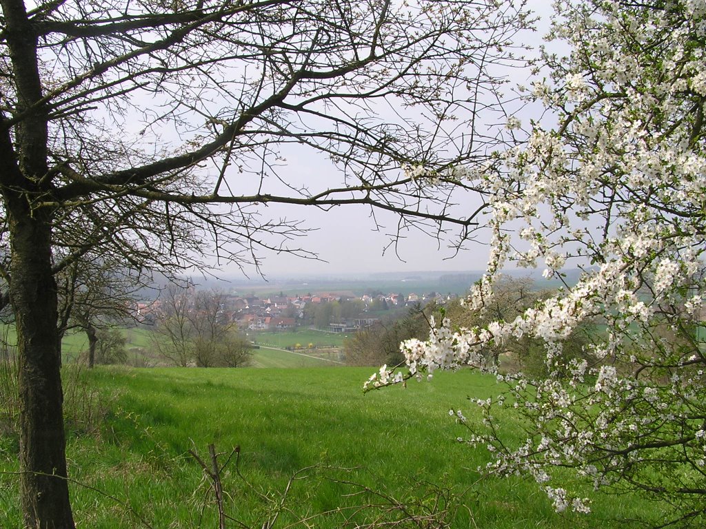 Blick auf Eckartshausen am Früh-Frühlings Sonntagvormittag by StuckenPeter