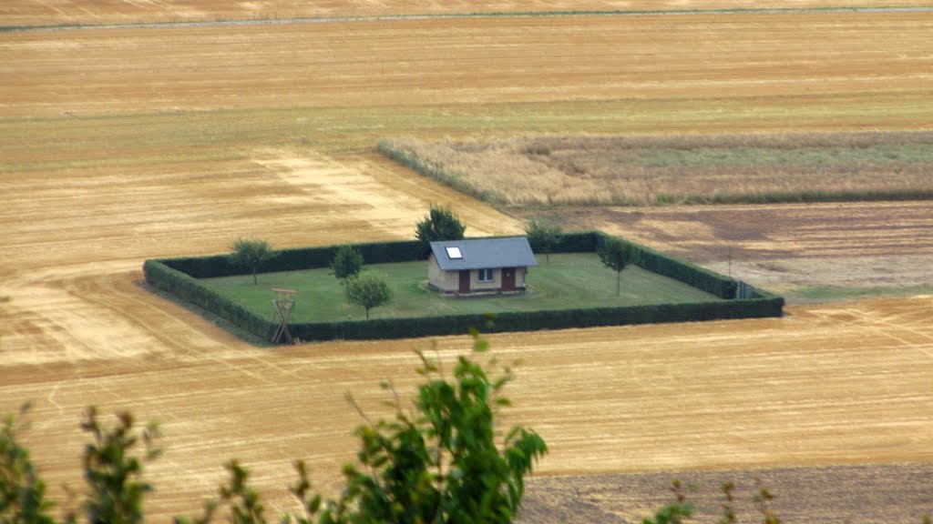 Blick von der Aussichtsplatform am Gänsehals by Iris & Harry