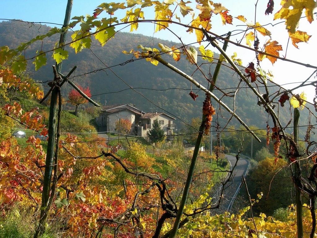 Autunno a Civine by byang