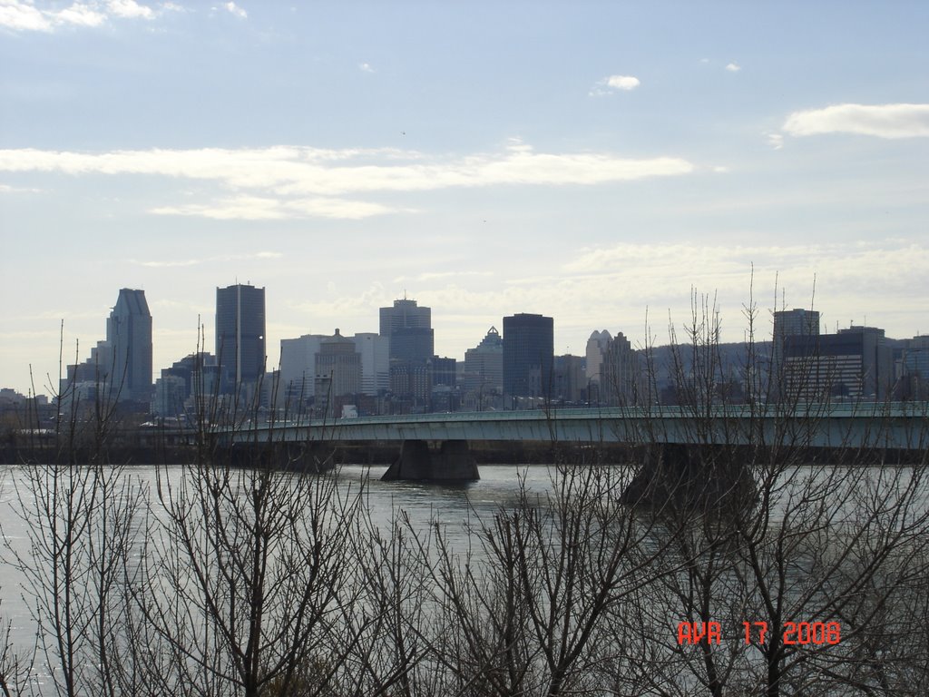 Montreal Skyline by dy24