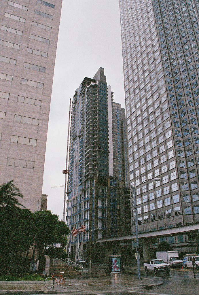 Downtown Miami. Miami has a true tropical climate with hot, humid summers, and warm, dry winters. The city does experience cold fronts from November through March. However, the average monthly temperature for any month has never been recorded as being under 64.4 °F (January averages 67 °F). by perezmontejo