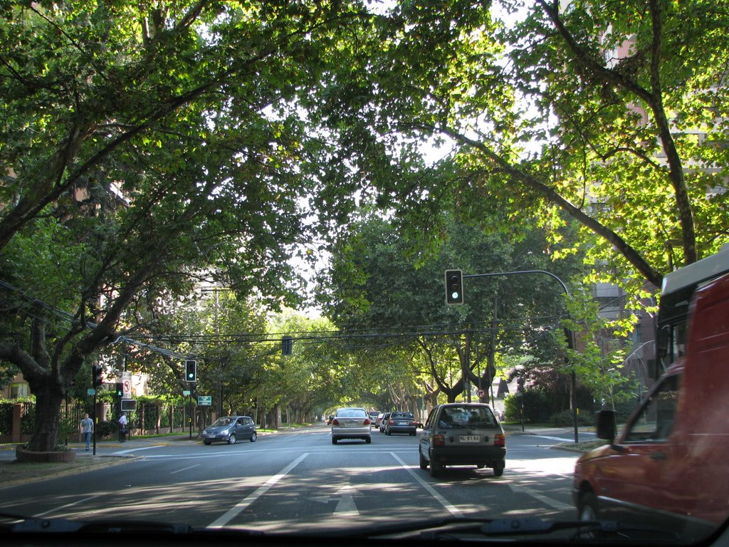 Av. Colon - Las Condes - Stgo - CHILE by Romão