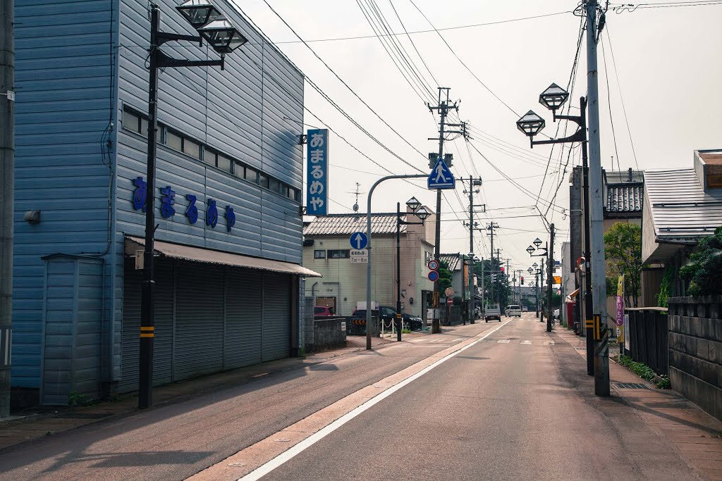 狩川の通り　山形県庄内町 by nyanta2030