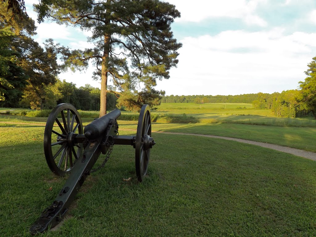 Southern Cannon Over Looking the Union Position near the Crater, Petersburg, VA by r.w.dawson