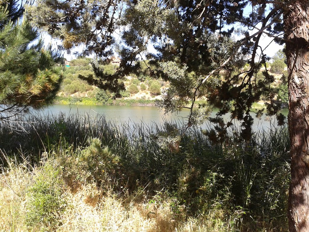 Embalse de Los Peñascales by spyain