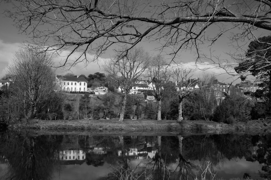 Lee River, Cork, Ireland by Maciej Hebda