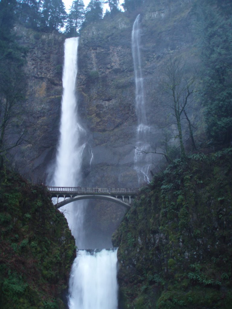 Historic Columbia River Highway, Multnomah Falls by Comms