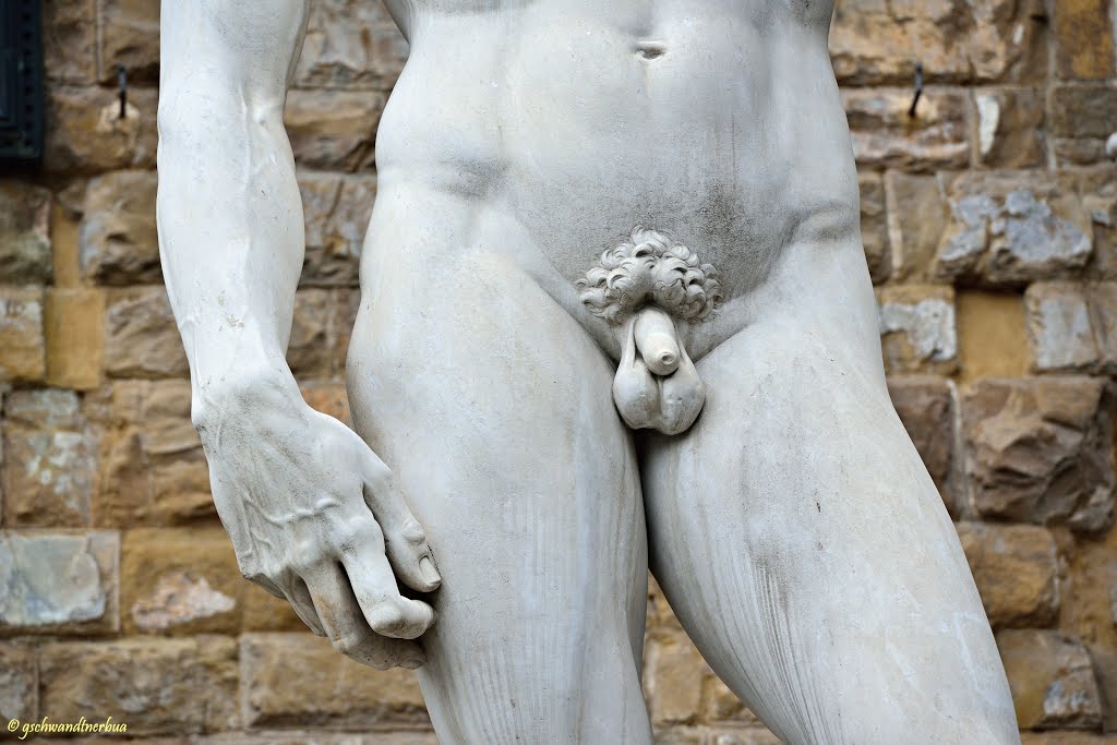 David (Detail) | Florenz by gschwandtnerbua