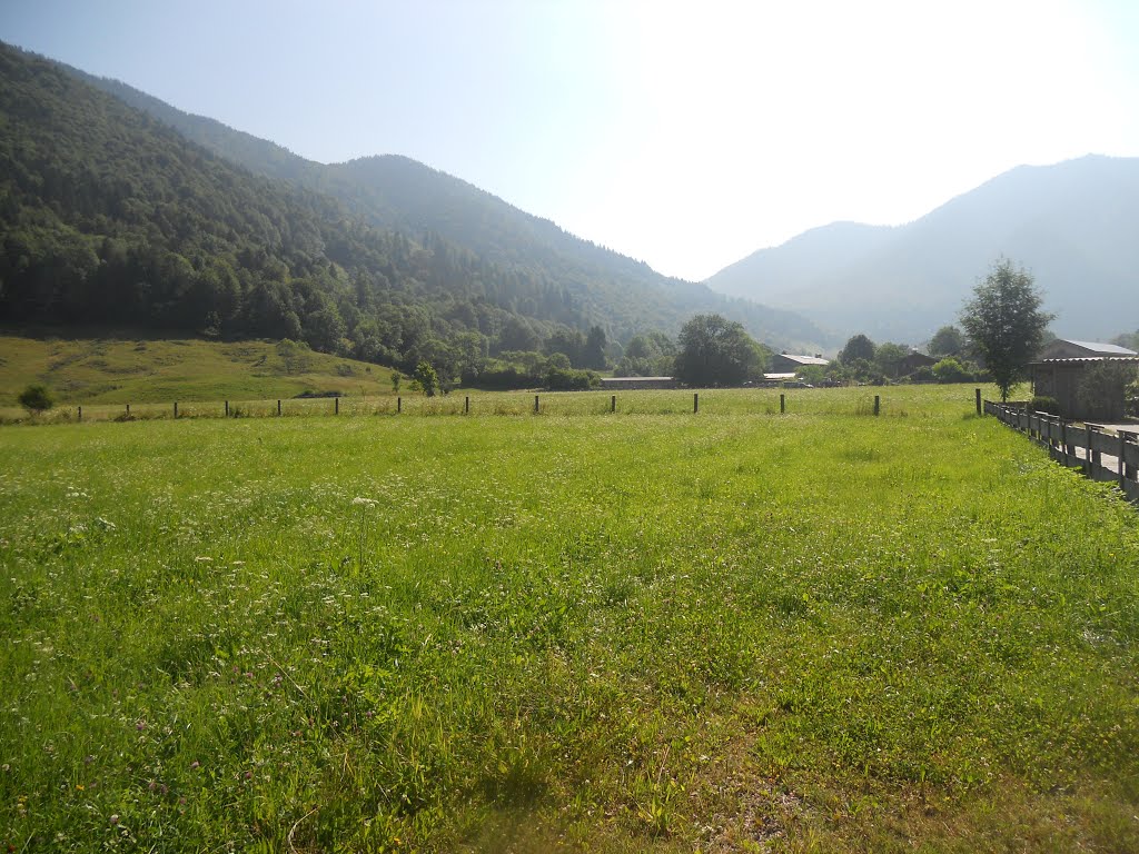 Tal bei Rottach by Christoph Rohde