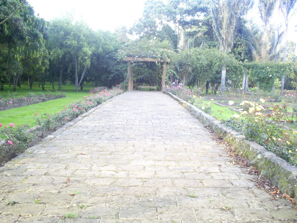 Jardín Botánico by cfjpcfjp