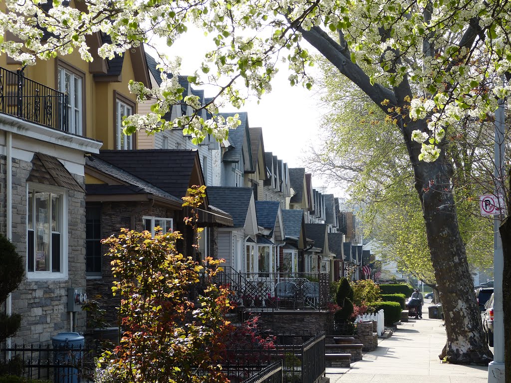 Town houses, Brooklyn NYC by Schamberl