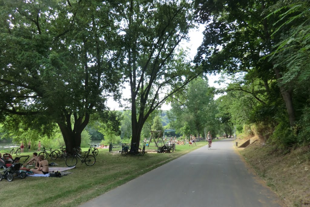 WÜRZBURG - Der Radweg neben dem Theodor-Heus-Damm - Endspurt in die Innenstadt. . . by ReinhardKlenke