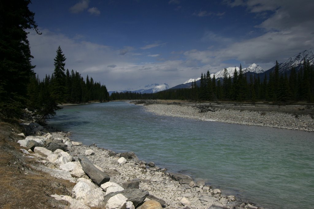 The Bow at Canmore by graemejw