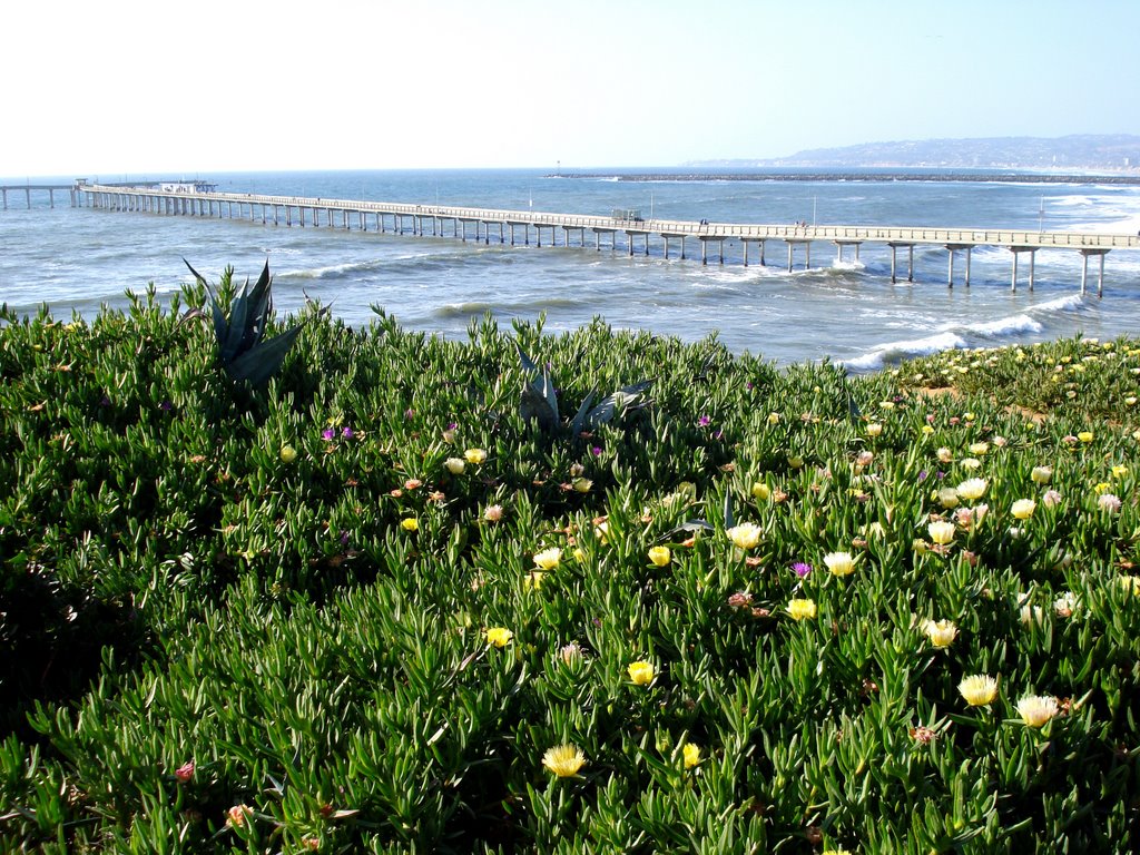 Ocean Beach Pier north of San Diego California USA by global_ant0n1us