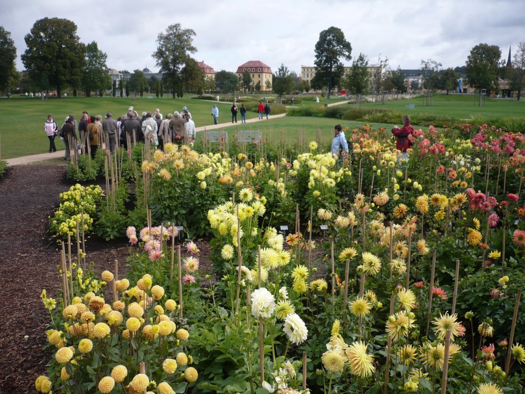 BUGA 2007, Gera, Hofwiesenpark by T.E.