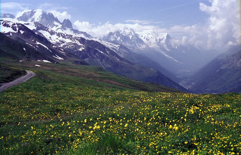 Col du Balme by tetsuya223