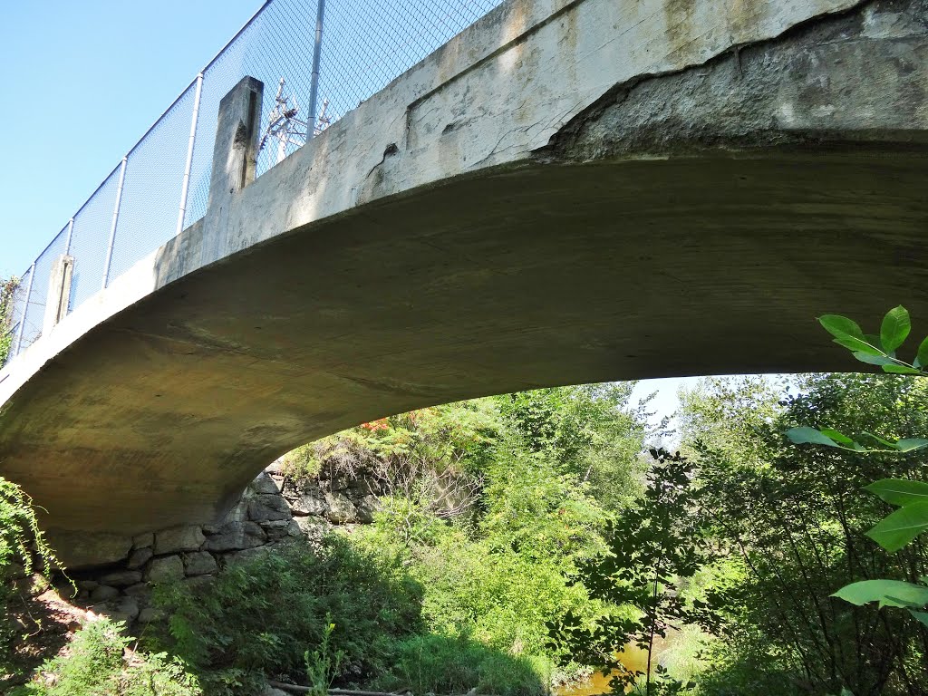 Worumbo Mill canal bridge, Lisbon Falls, Maine by Taoab