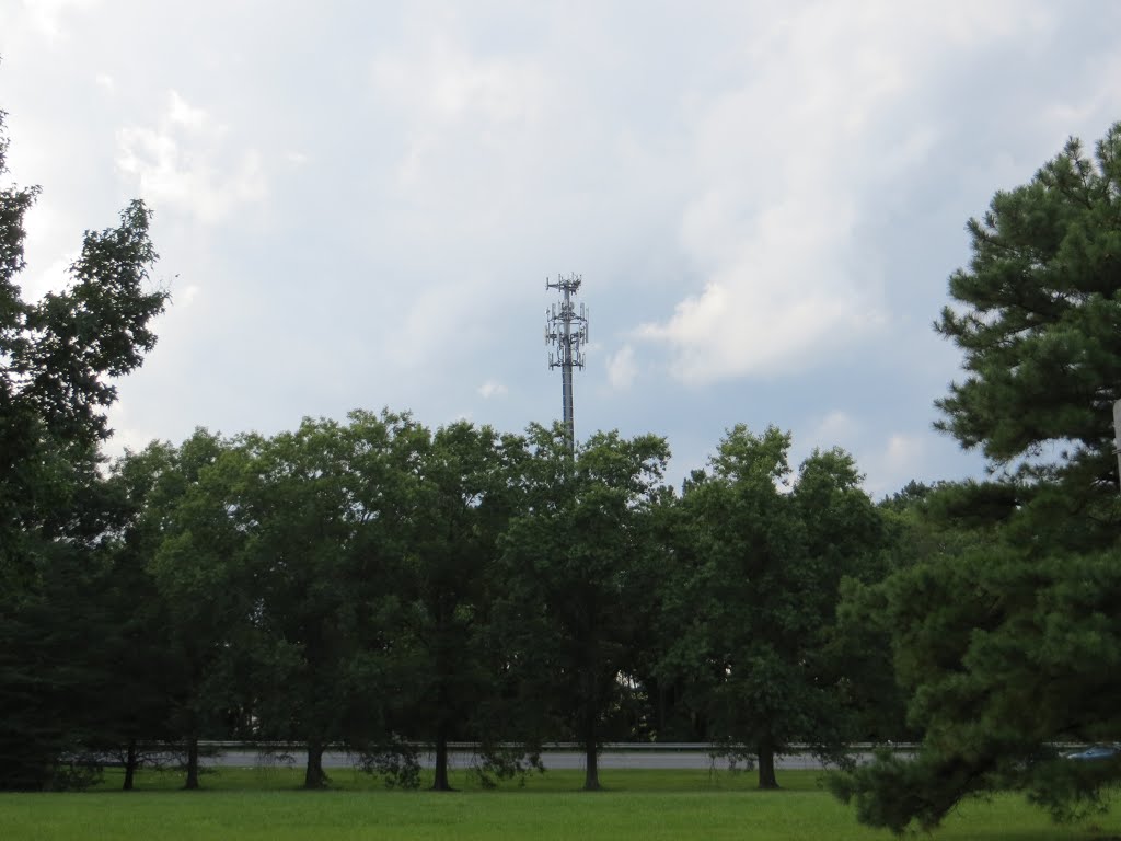 Cell Tower by Adam Elmquist