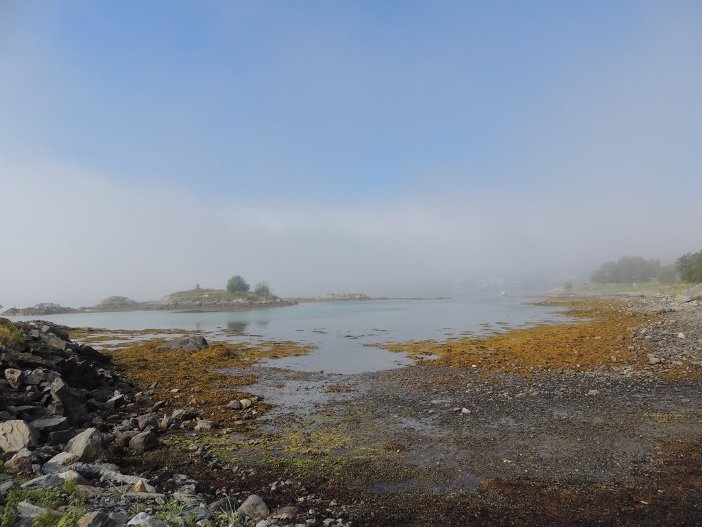 Foggy morning in Harstad by VesnaL