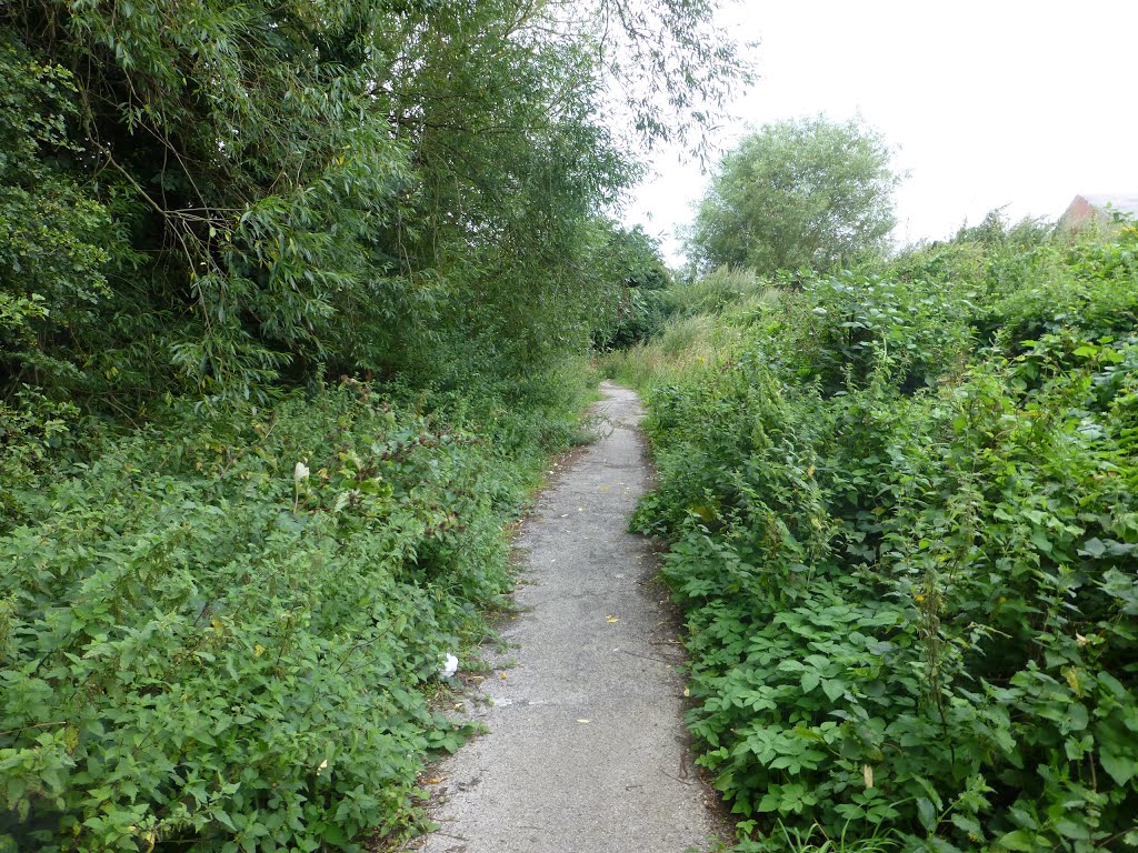 View South On The Mersey Way. by Peter Hodge