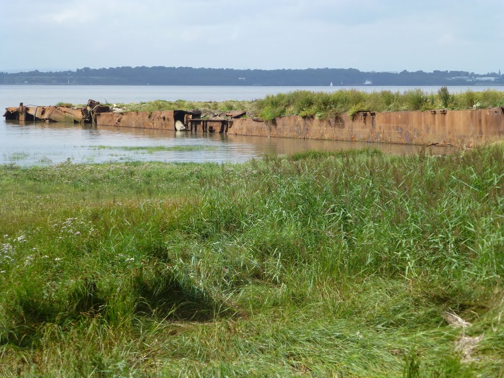 View South West From The Mersey Way. by Peter Hodge