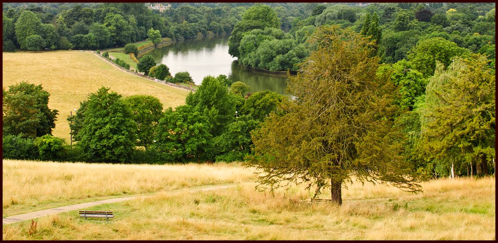 The Thames from Richmond Hill. by brian01