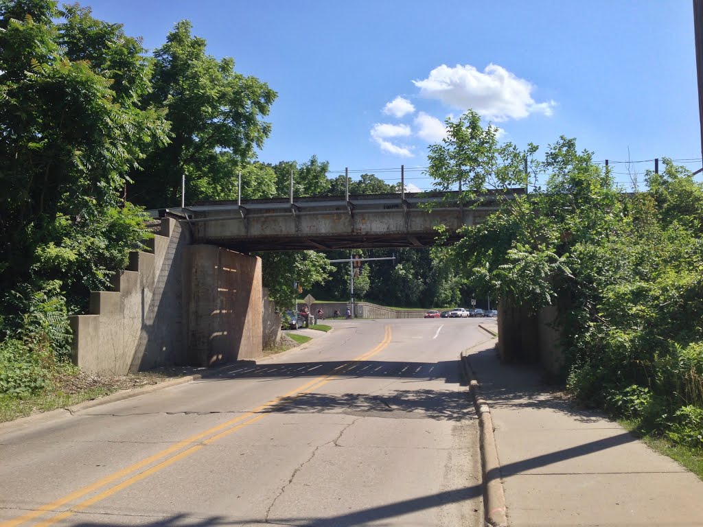 CRandIC Rocky Shore Drive Overpass by KingHawkFan