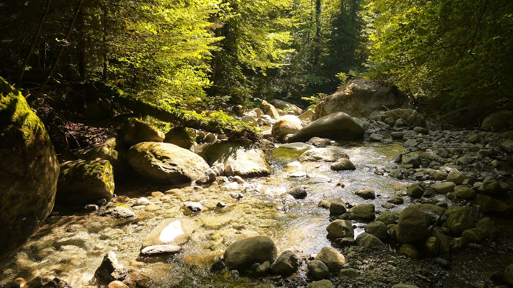 In der Gorges du Chauderon by Georg Schreiner