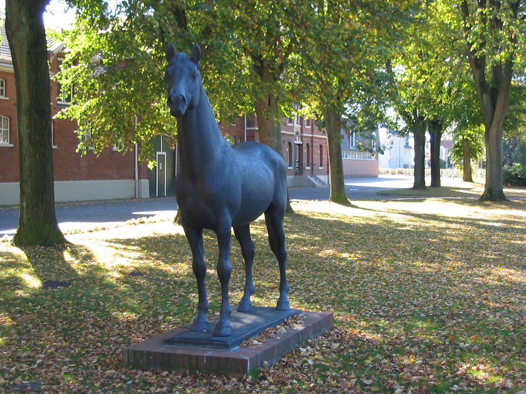 Landgraf I. vor dem Reit- und Fahrverein Elmshorn by Schubi-Uetersen