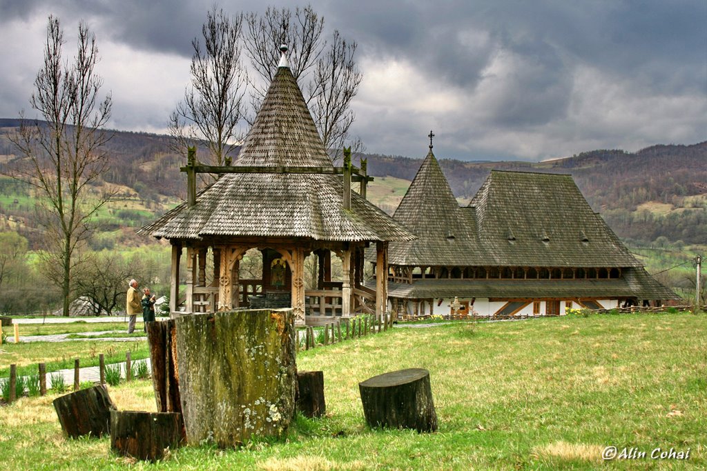 Manastirea Barsana - Maramures (Barsana Monastery) by Alin Cohai