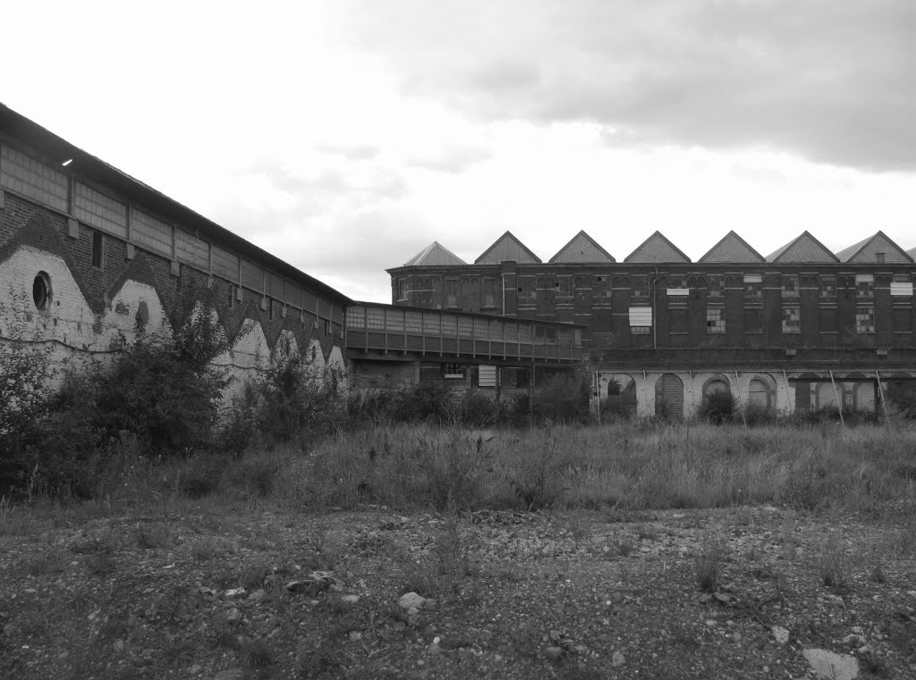 Tel un squelette de dinosaure (Tourcoing) by Guy Ferdinande