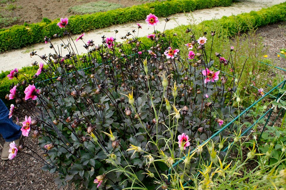 Nationale Plantentuin, 1860 Meise by Paul HART