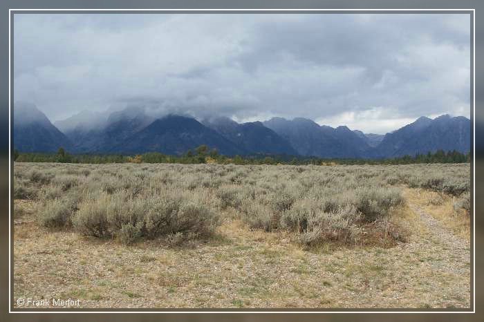 Mount Moran Scenic Turnout by Frank Merfort