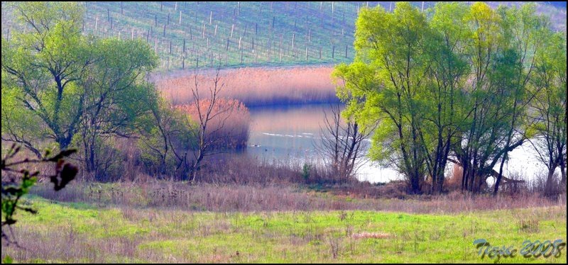 Kesztölci tó by tezse