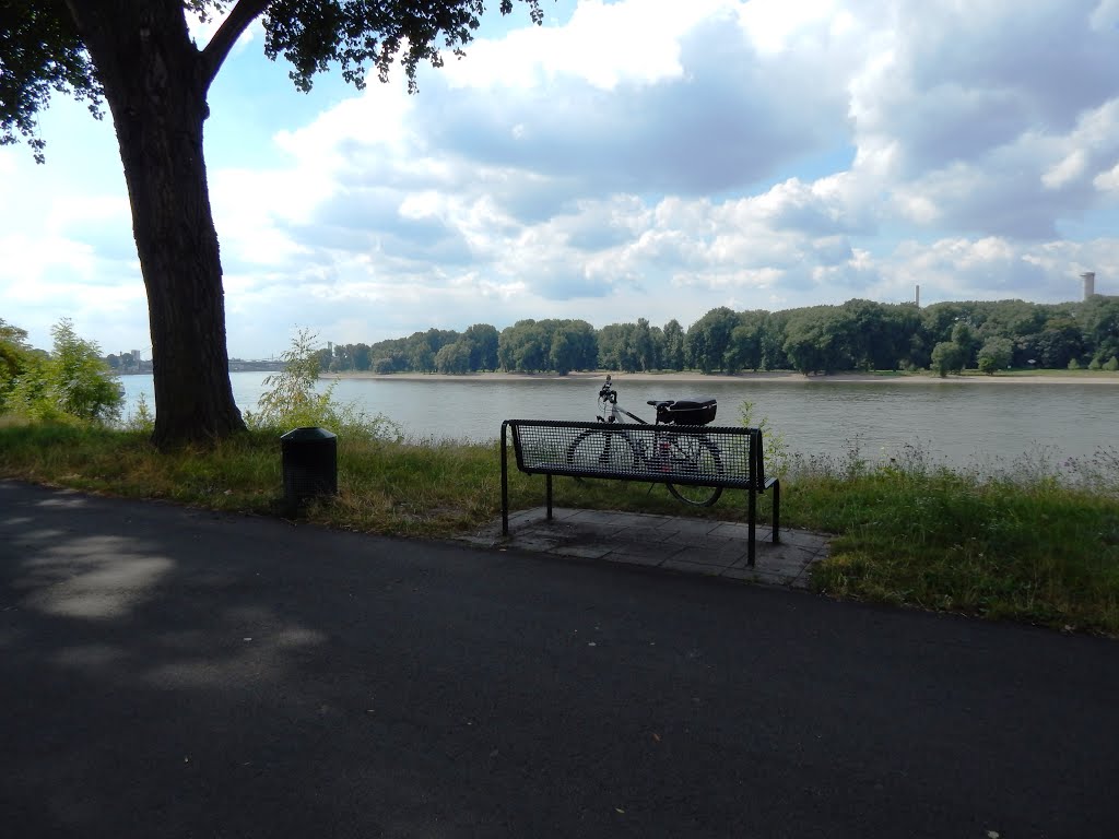 Köln / Germany: Am Rhein. (Stammheimer Ufer). Abgelichtet im August 2013. Cologne / Germany: At the Rhine. (Stammheimer Ufer). Photographed in August 2013. by © "Earth Views"