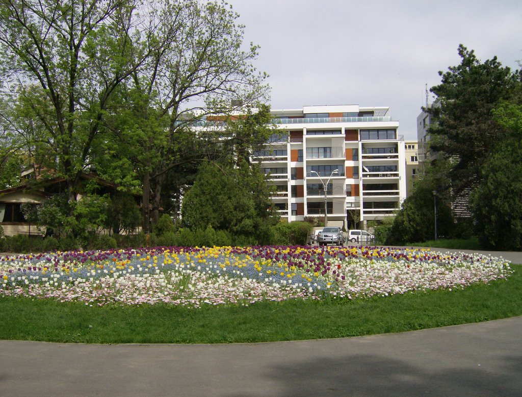 Herastrau Park by Lucian Sarbu