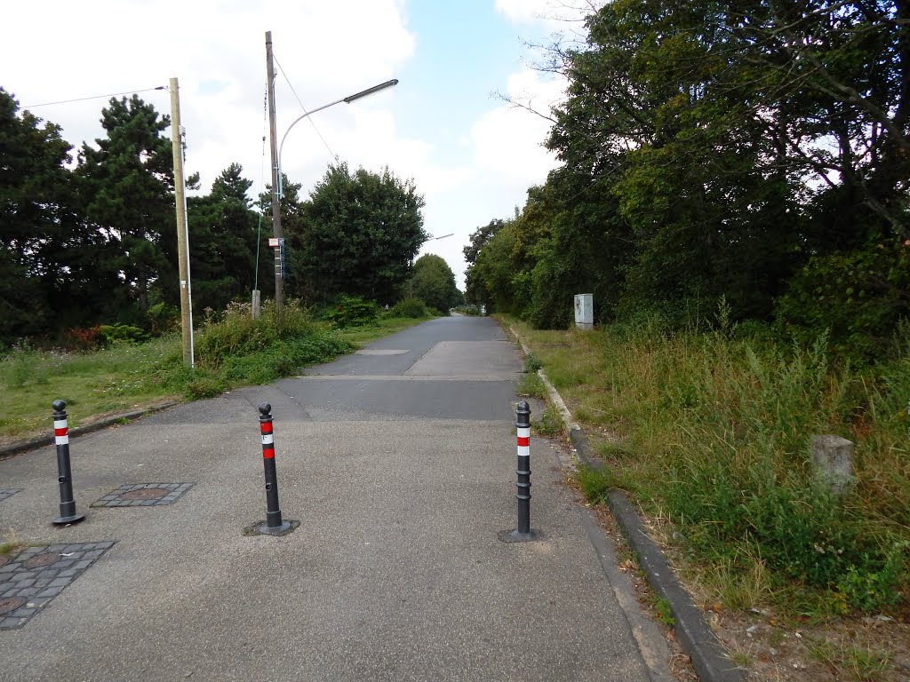 Köln / Germany: Düsseldorfer Straße. Abgelichtet im August 2013 by © "Earth Views"