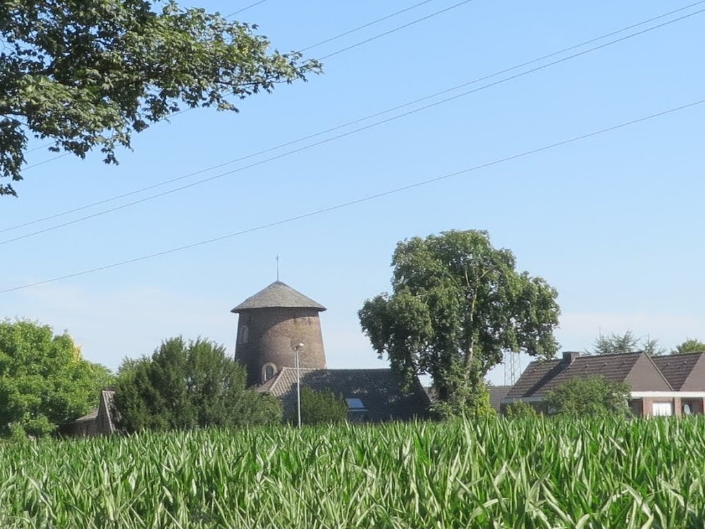 DE - Kleve - Klever Ring by Danny Danckaert