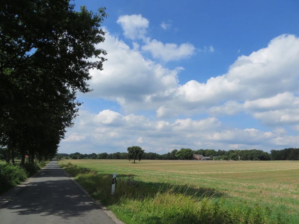 DE - Schermbeck - Brüner Weg by Danny Danckaert