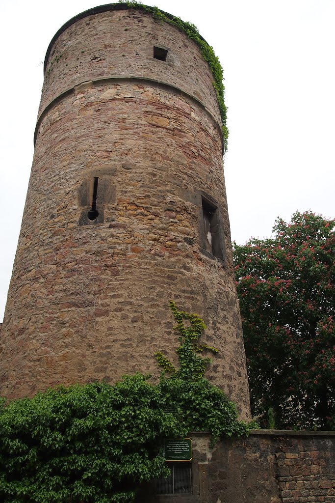 Deutschland - Fulda - Hexenturm by mladenipBG